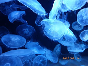 AOAO SAPPOROに投稿された画像（2023/8/21）