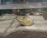 天王寺動物園に投稿された画像（2023/8/21）