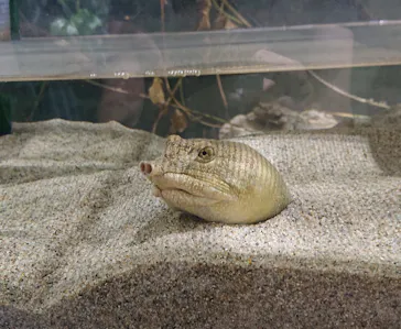 天王寺動物園に投稿された画像（2023/8/21）