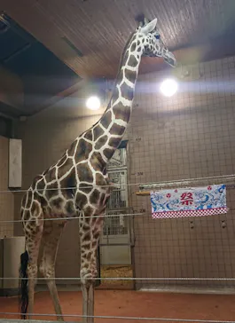 天王寺動物園に投稿された画像（2023/8/21）