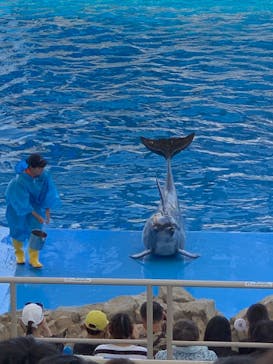 名古屋港水族館に投稿された画像（2023/8/21）