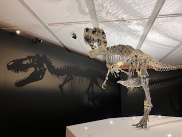 DinoScience 恐竜科学博 2023@TOKYO MIDTOWNに投稿された画像（2023/8/21）