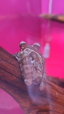 サンシャイン水族館に投稿された画像（2023/8/21）