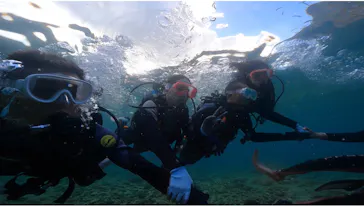 武藤潜水に投稿された画像（2023/8/21）