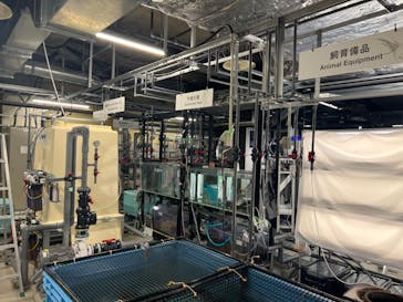 カワスイ 川崎⽔族館に投稿された画像（2023/8/21）