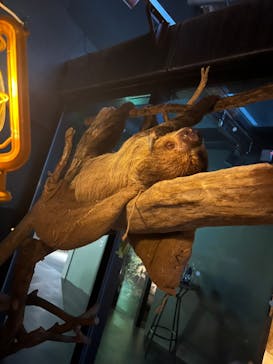 カワスイ 川崎⽔族館に投稿された画像（2023/8/21）