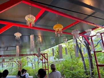 京都水族館に投稿された画像（2023/8/21）