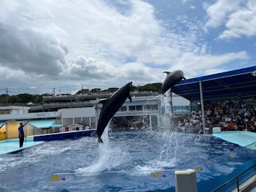 越前松島水族館に投稿された画像（2023/8/21）