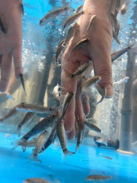 越前松島水族館に投稿された画像（2023/8/21）