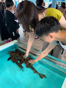 越前松島水族館に投稿された画像（2023/8/21）