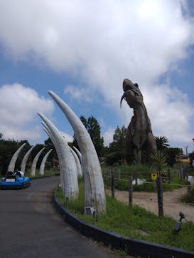 伊豆ぐらんぱる公園に投稿された画像（2023/8/21）