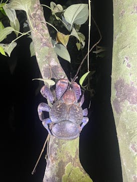 宮古島マリン SUGAR3（シュガースリー）に投稿された画像（2023/8/21）