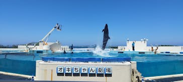 沖縄美ら海水族館に投稿された画像（2023/8/21）