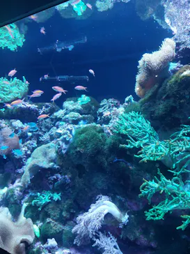 マクセル アクアパーク品川に投稿された画像（2023/8/21）