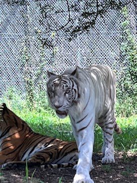 姫路セントラルパークに投稿された画像（2023/8/21）