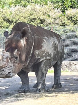 姫路セントラルパークに投稿された画像（2023/8/21）