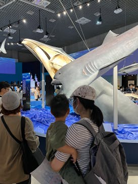 特別展「海　―生命のみなもと―」（国立科学博物館）に投稿された画像（2023/8/21）