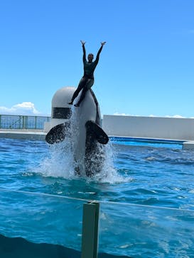 鴨川シーワールドに投稿された画像（2023/8/21）