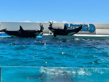 鴨川シーワールドに投稿された画像（2023/8/21）