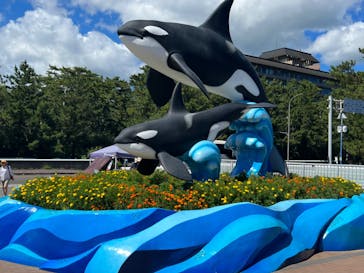 鴨川シーワールドに投稿された画像（2023/8/21）