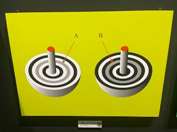 どうなっとーと？展　数理工学博士がつくる錯覚の世界に投稿された画像（2023/8/21）