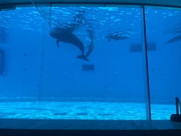 マリンワールド海の中道に投稿された画像（2023/8/21）