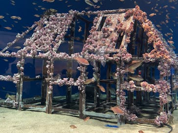 マリンワールド海の中道に投稿された画像（2023/8/21）