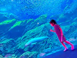 仙台うみの杜水族館に投稿された画像（2023/8/21）