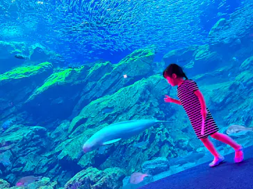 仙台うみの杜水族館に投稿された画像（2023/8/21）