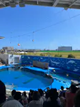 仙台うみの杜水族館に投稿された画像（2023/8/21）