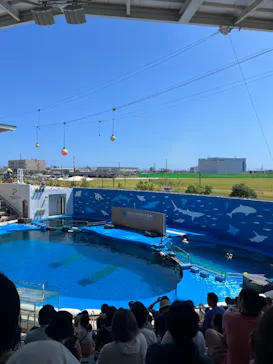仙台うみの杜水族館に投稿された画像（2023/8/21）