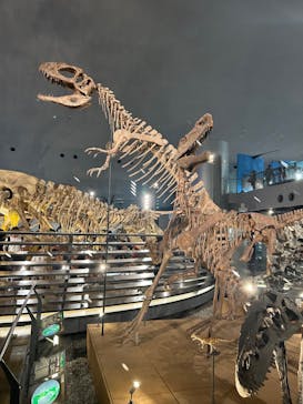 福井県立恐竜博物館に投稿された画像（2023/8/21）