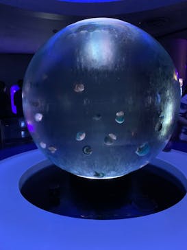 新江ノ島水族館に投稿された画像（2023/8/21）