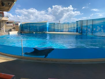 新江ノ島水族館に投稿された画像（2023/8/21）