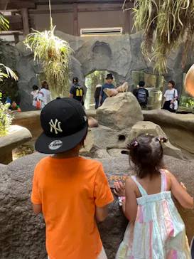 神戸どうぶつ王国に投稿された画像（2023/8/21）