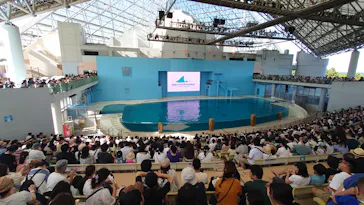 横浜・八景島シーパラダイスに投稿された画像（2023/8/21）