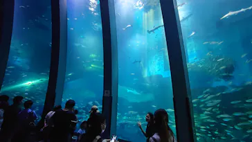 横浜・八景島シーパラダイスに投稿された画像（2023/8/21）