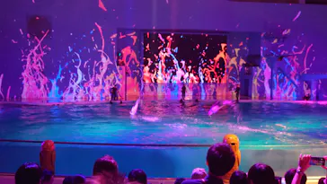 横浜・八景島シーパラダイスに投稿された画像（2023/8/21）