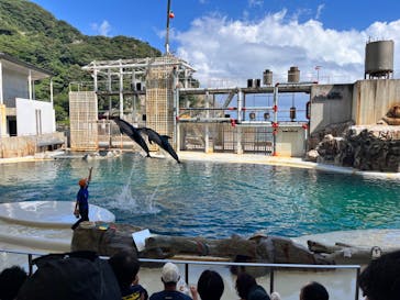 城崎マリンワールドに投稿された画像（2023/8/21）