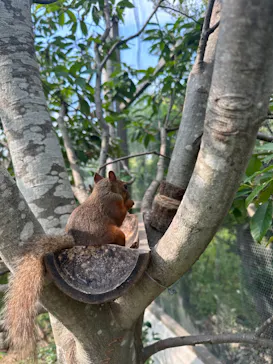 神戸どうぶつ王国に投稿された画像（2023/8/21）