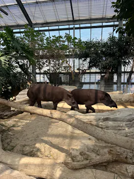 神戸どうぶつ王国に投稿された画像（2023/8/21）