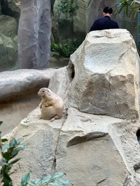 神戸どうぶつ王国に投稿された画像（2023/8/21）