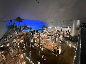 福井県立恐竜博物館に投稿された画像（2023/8/21）