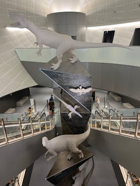 福井県立恐竜博物館に投稿された画像（2023/8/21）