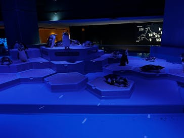 AOAO SAPPOROに投稿された画像（2023/8/21）