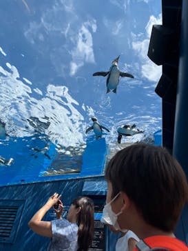サンシャイン水族館に投稿された画像（2023/8/21）