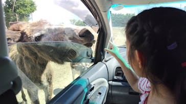 岩手サファリパークに投稿された画像（2023/8/21）