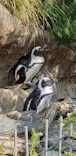 サンシャイン水族館に投稿された画像（2023/8/21）
