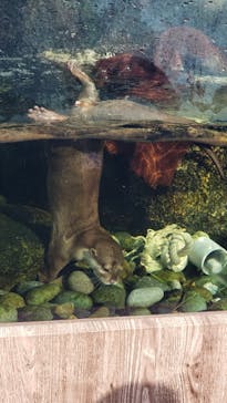 サンシャイン水族館に投稿された画像（2023/8/21）