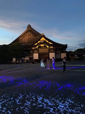 NAKED meets 二条城 2025 観月に投稿された画像（2023/8/21）